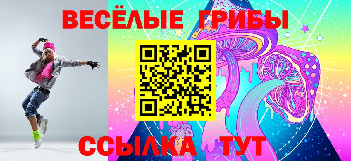 Кириши  Псилоцибиновые грибы Cubensis  Вход с VPN 